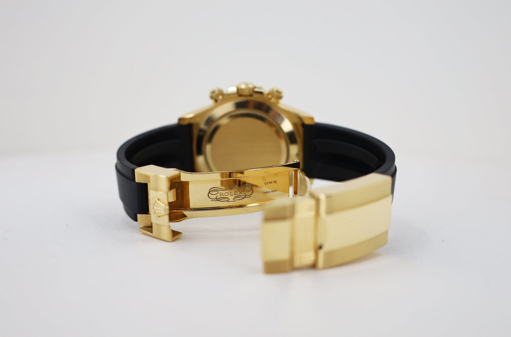 Daytona gold dial oyster flex